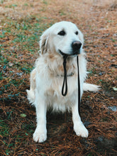 Load image into Gallery viewer, Dog Leash